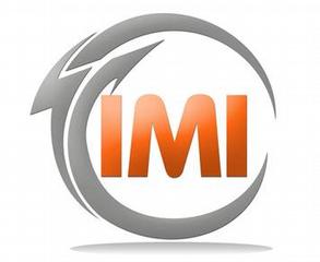 Intentional Management Inc